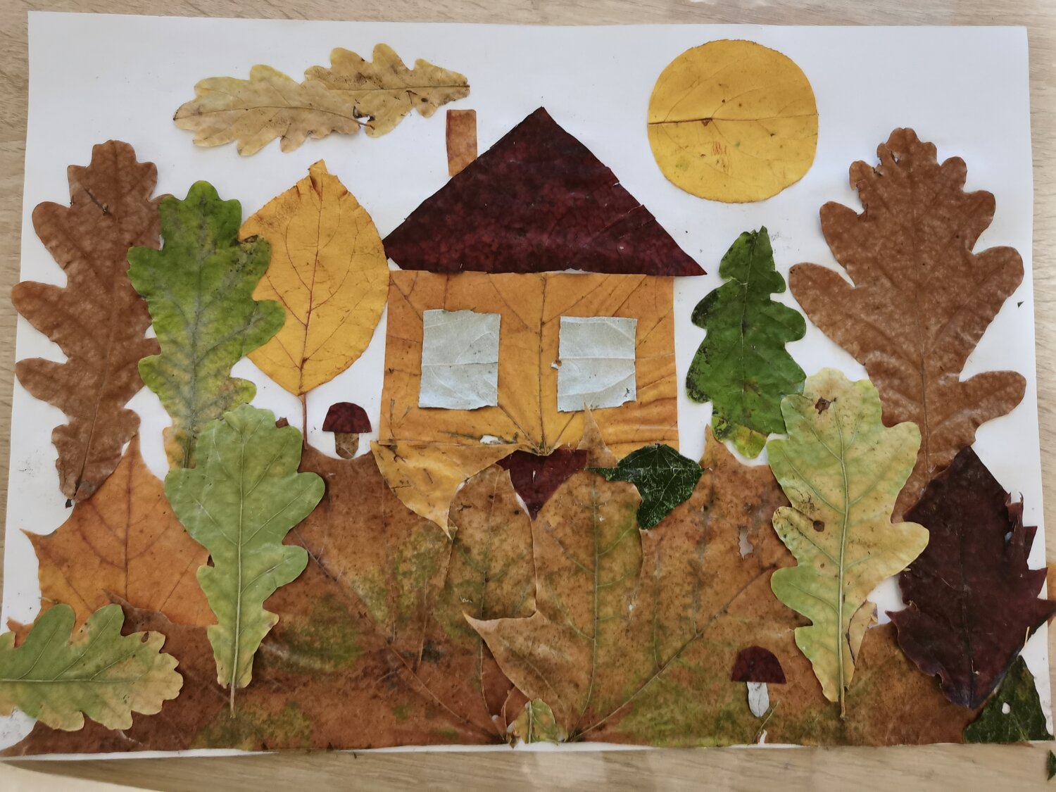 Photo #14127733
