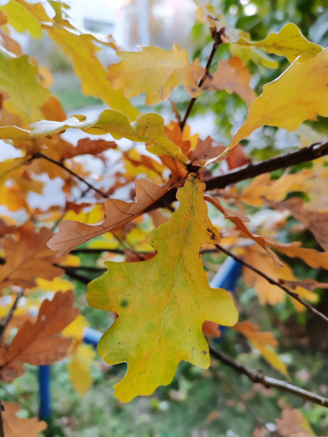 Photo #14127862
