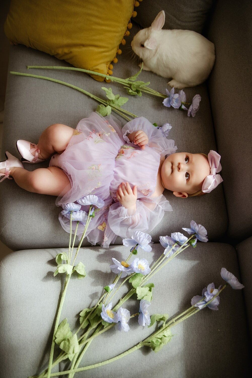 Photo #14127958