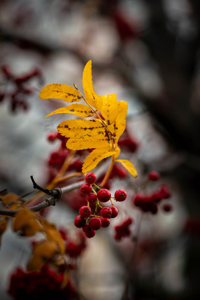 Photograph by Хуршудов Дмитрий
