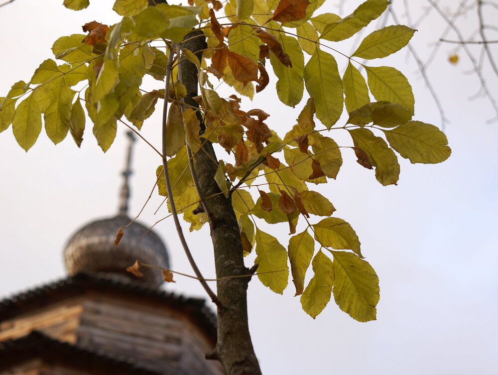 Photograph by Блюмина Елена