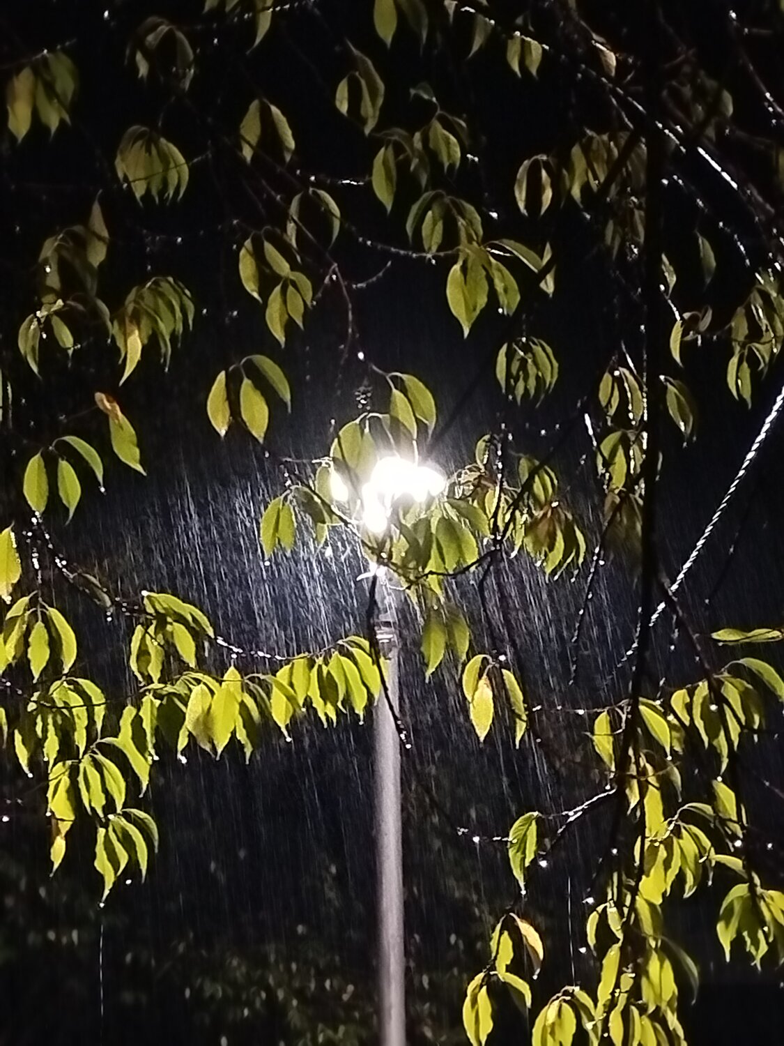 Photo #14128087