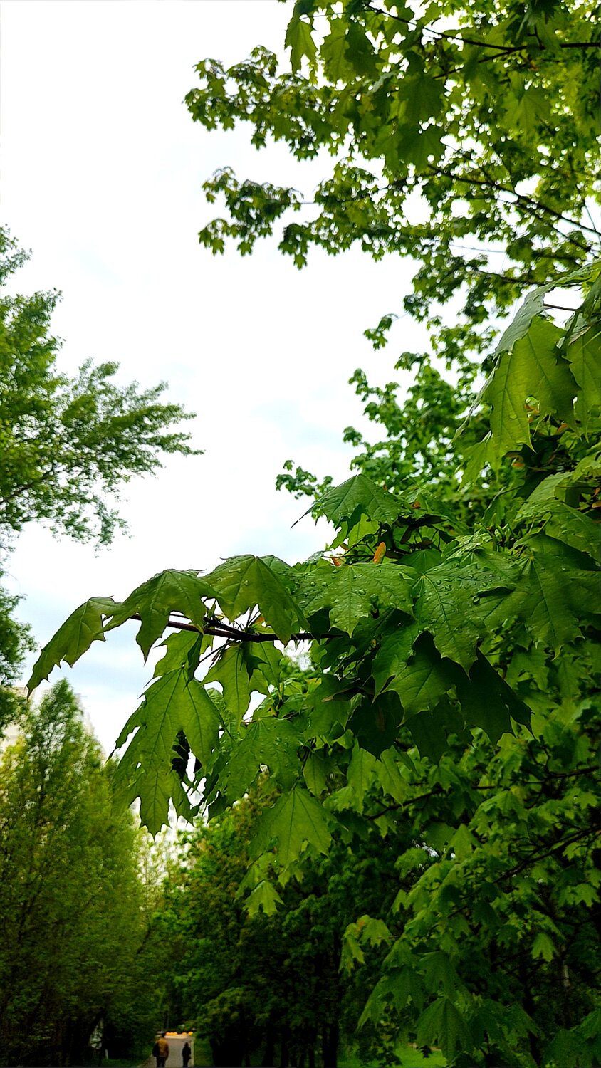 Photo #14128131