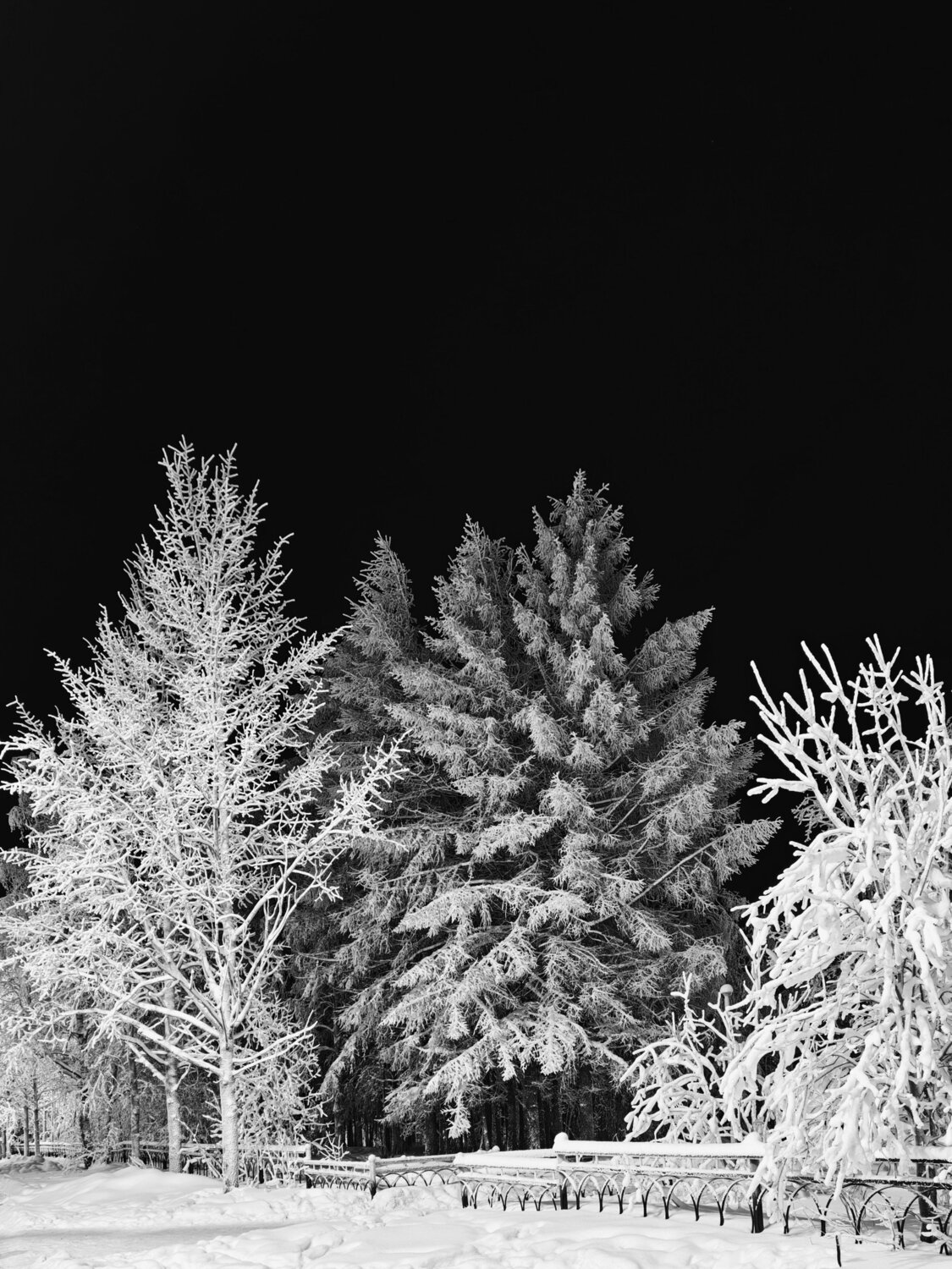Photo #14128318