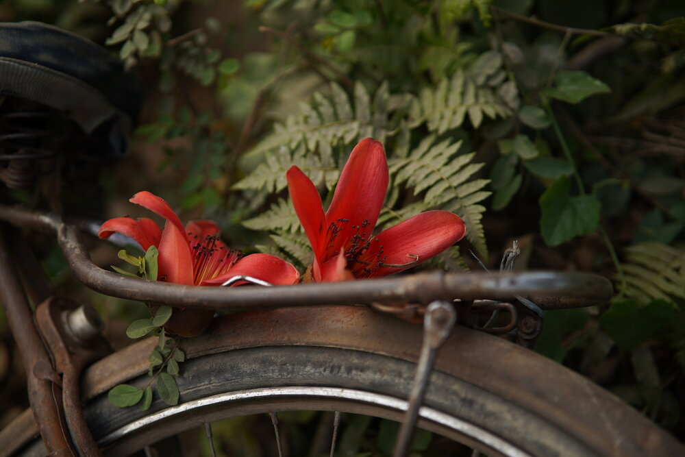 Photograph by Sazzadul Bari