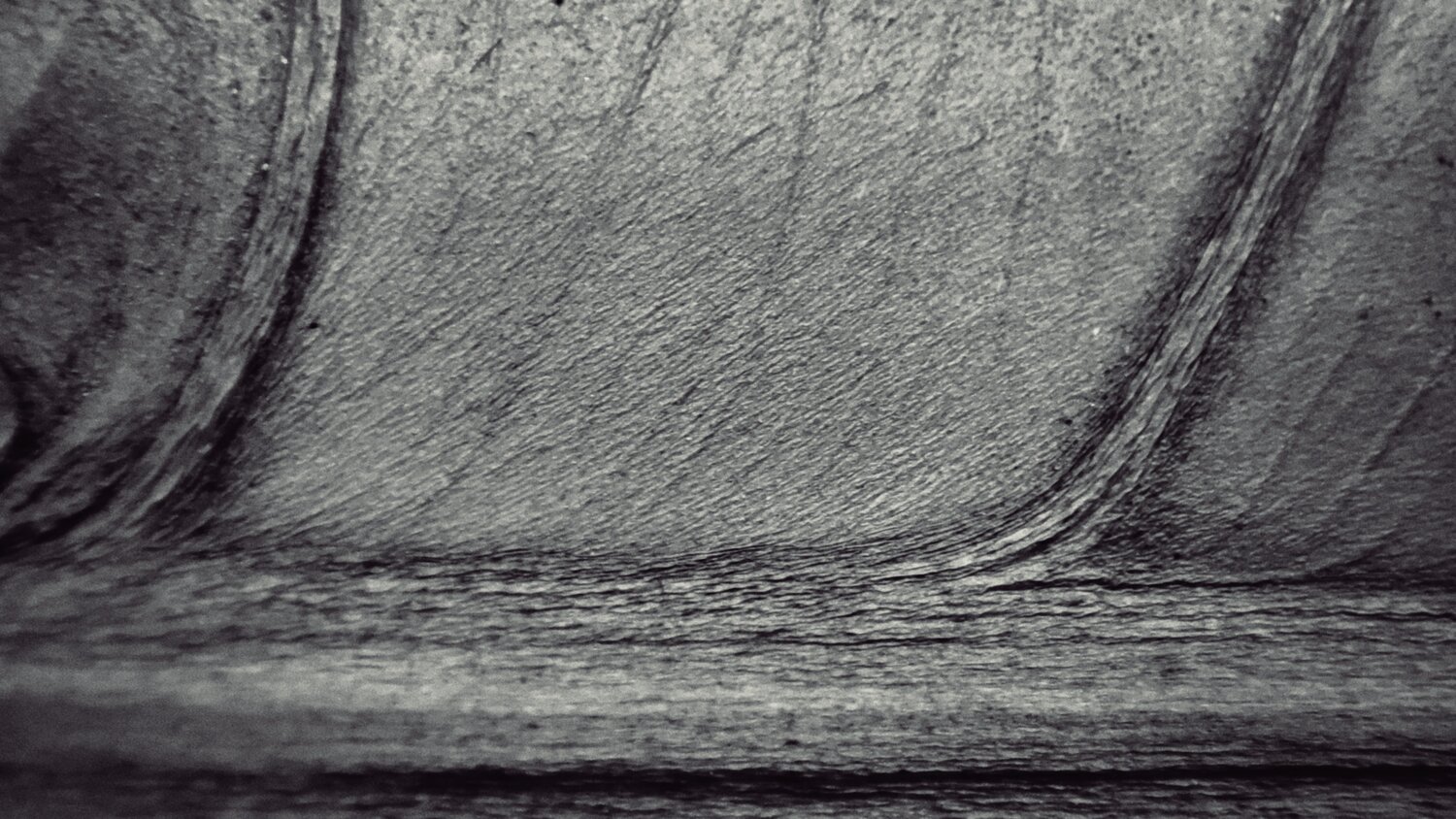 Photo #14128431