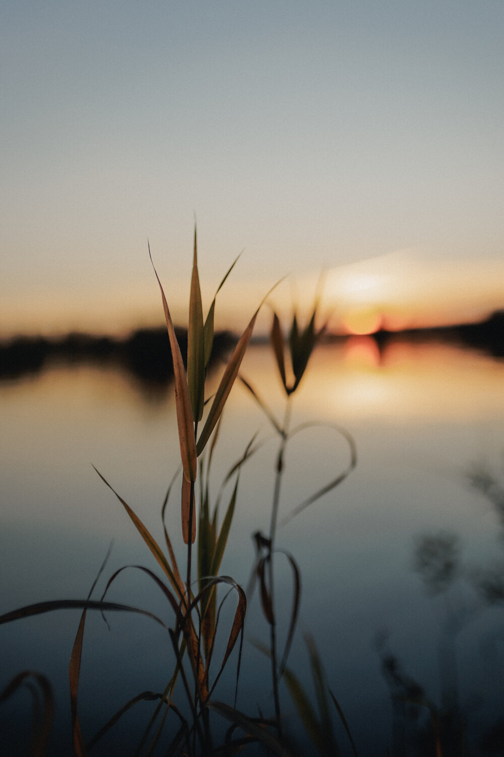 Photo #14128460