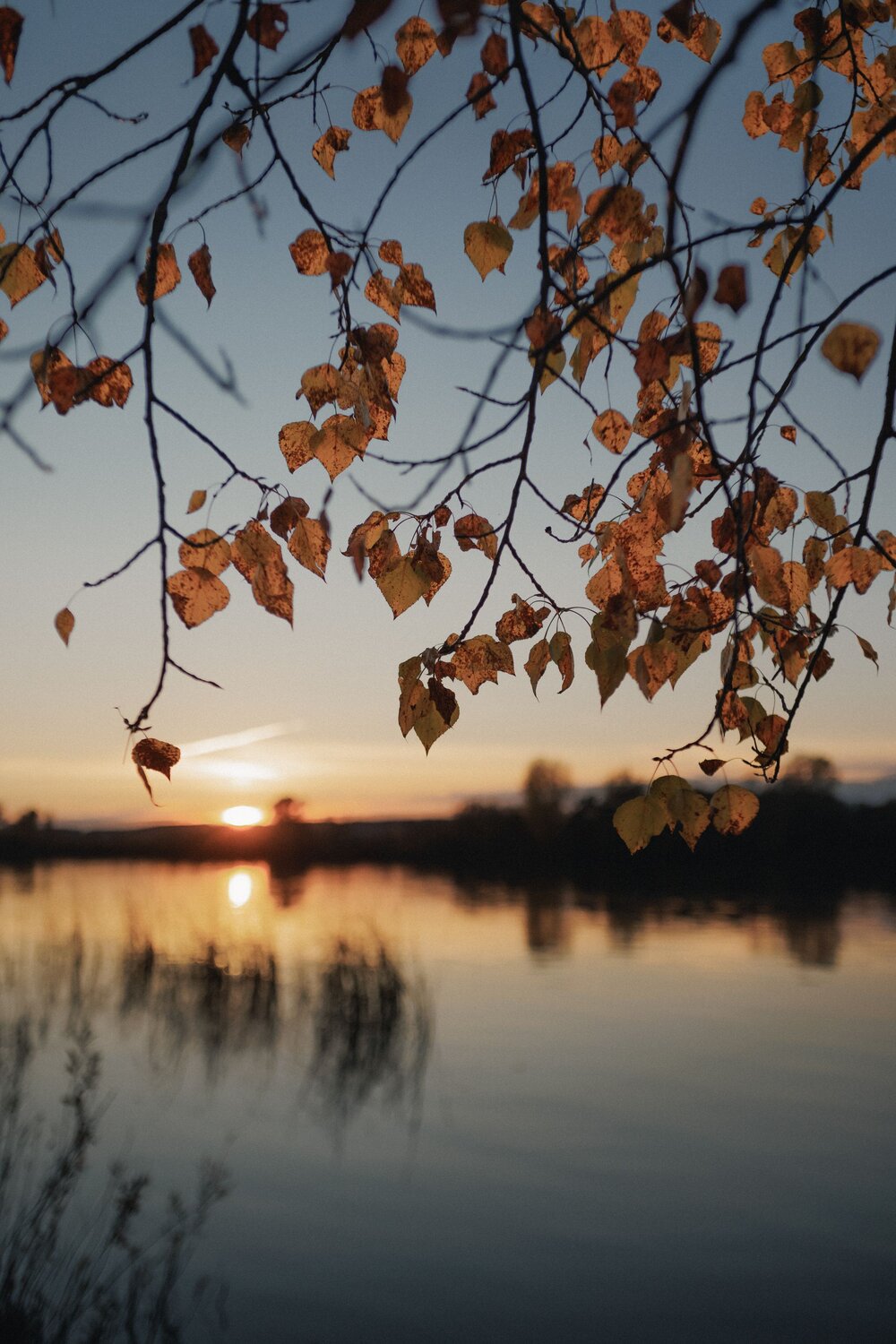 Photo #14128464
