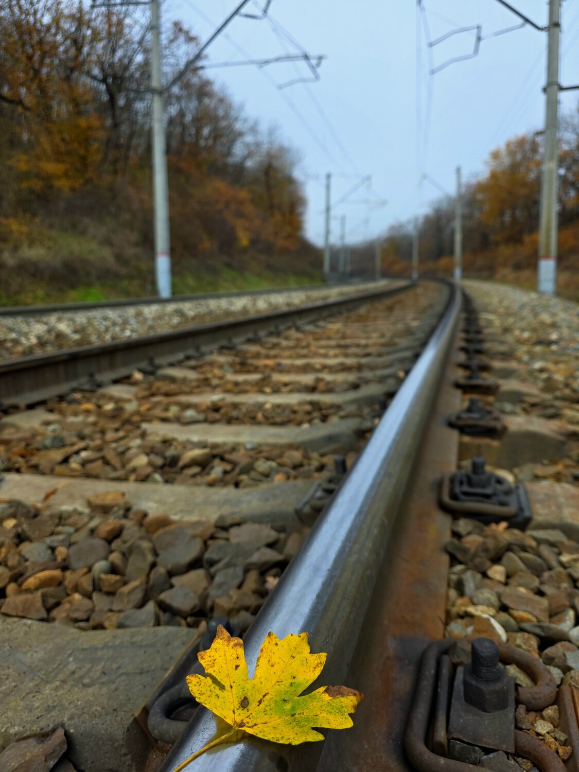 Фотография #14128497