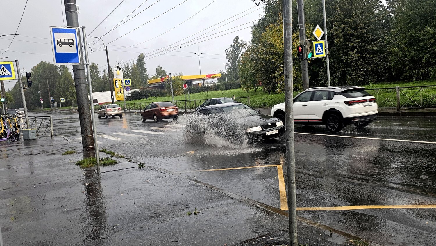 Photo #14128535