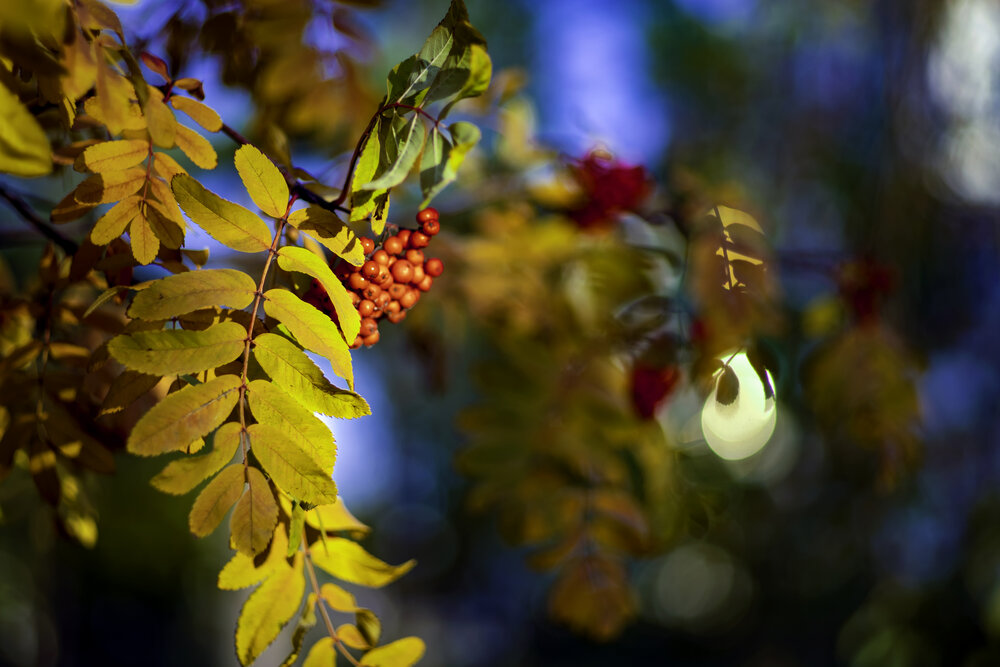 Photograph by Дмитрий
