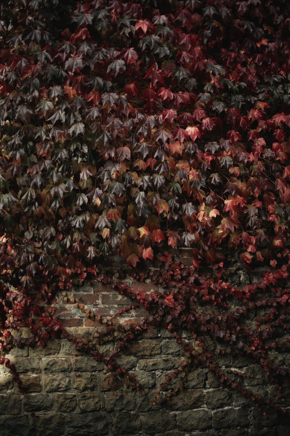 Photo #14128660