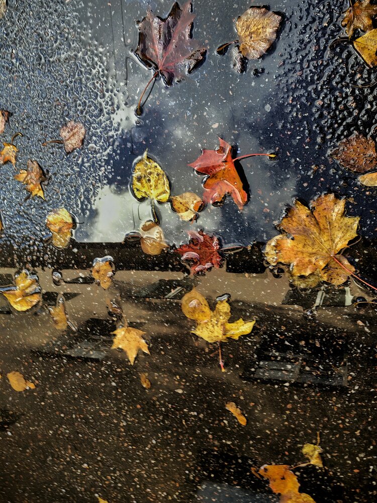 Photograph by Наталья Ионова