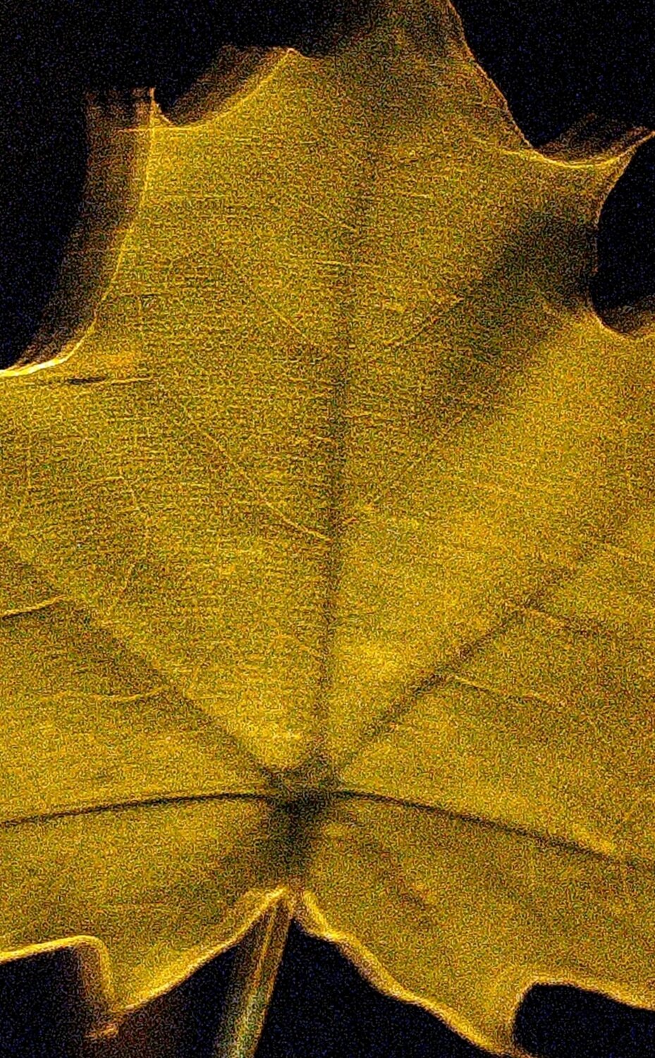 Photo #14128689