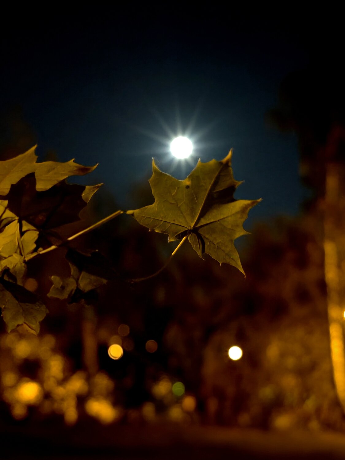 Photo #14128692