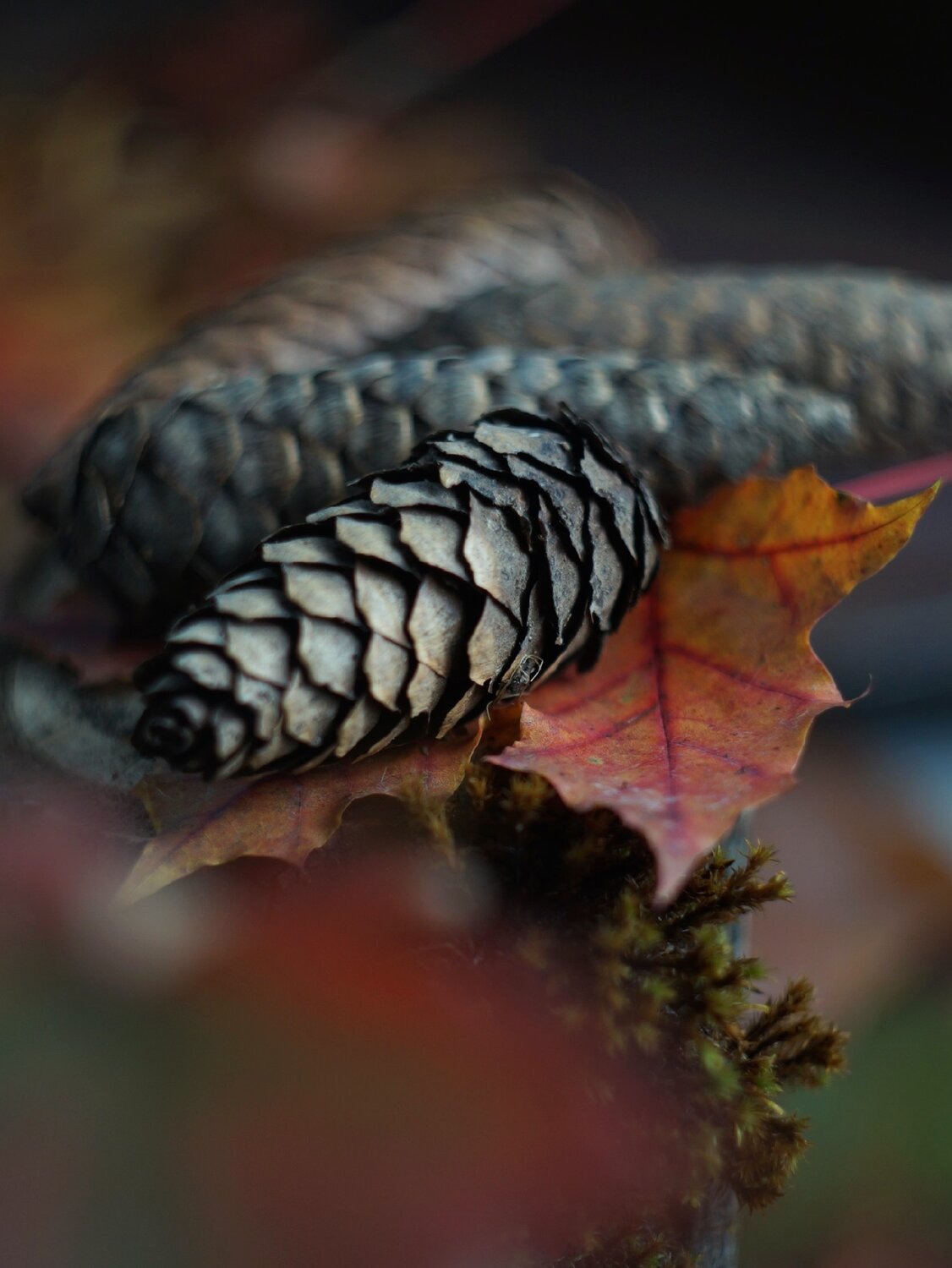 Photo #14128836