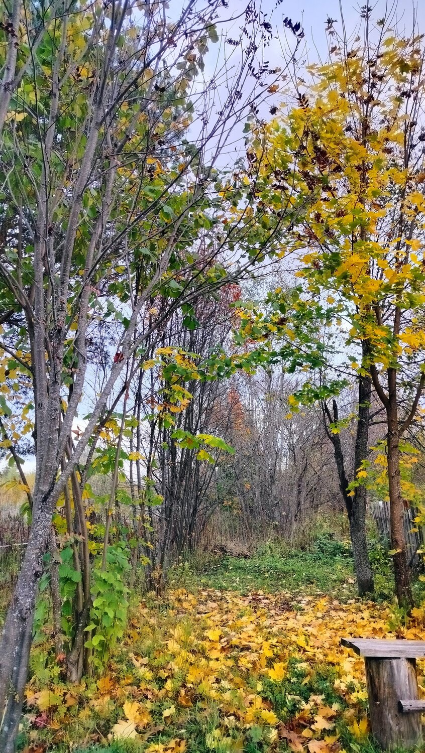Photo #14128988