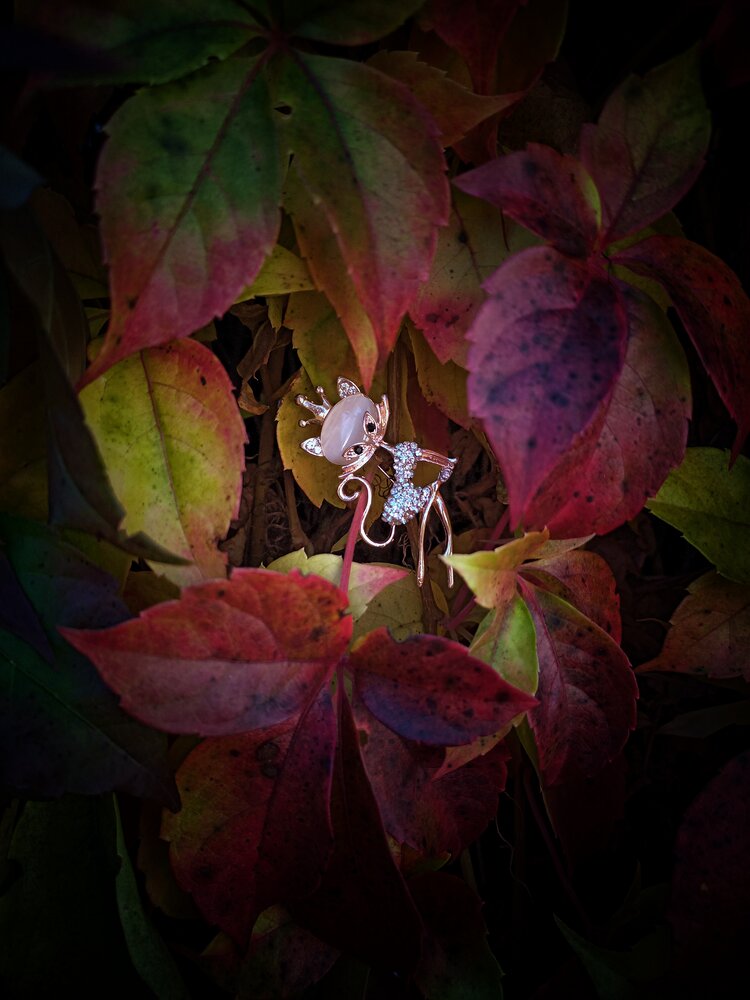 Photograph by Ирина