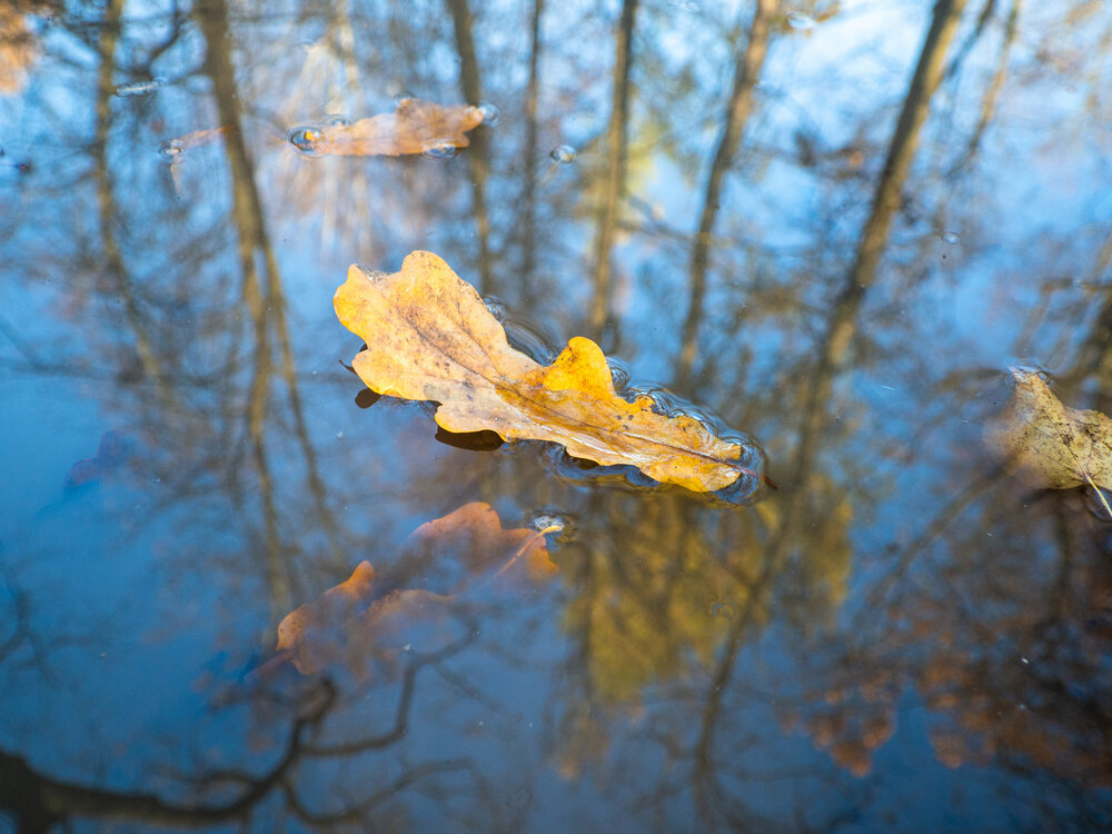 Photograph by Майя Жинкина