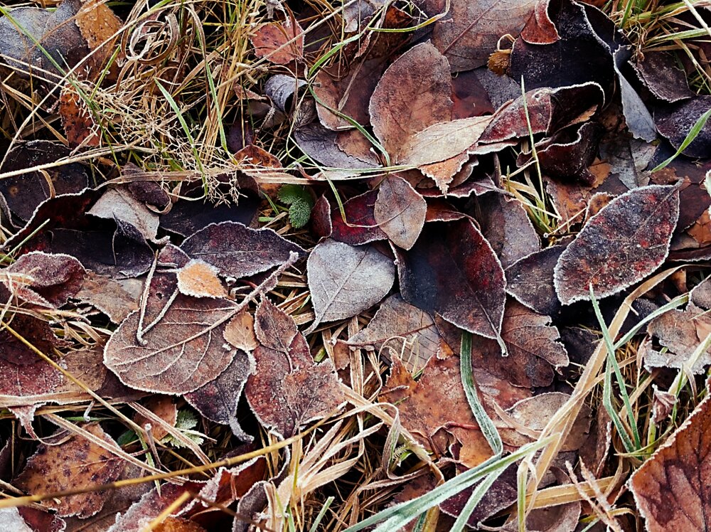 Photograph by Светлана Мищенко