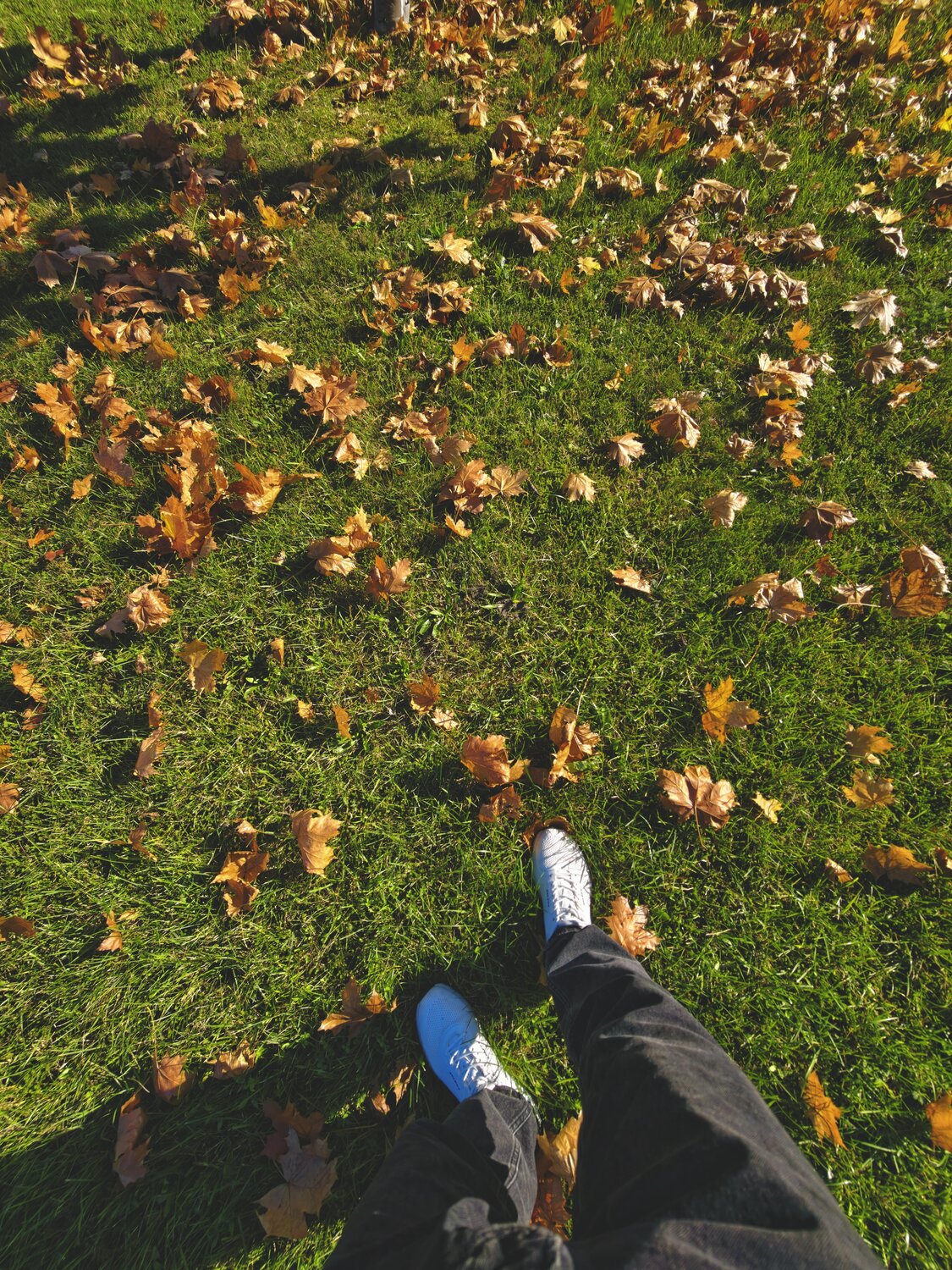 Photo #14129181