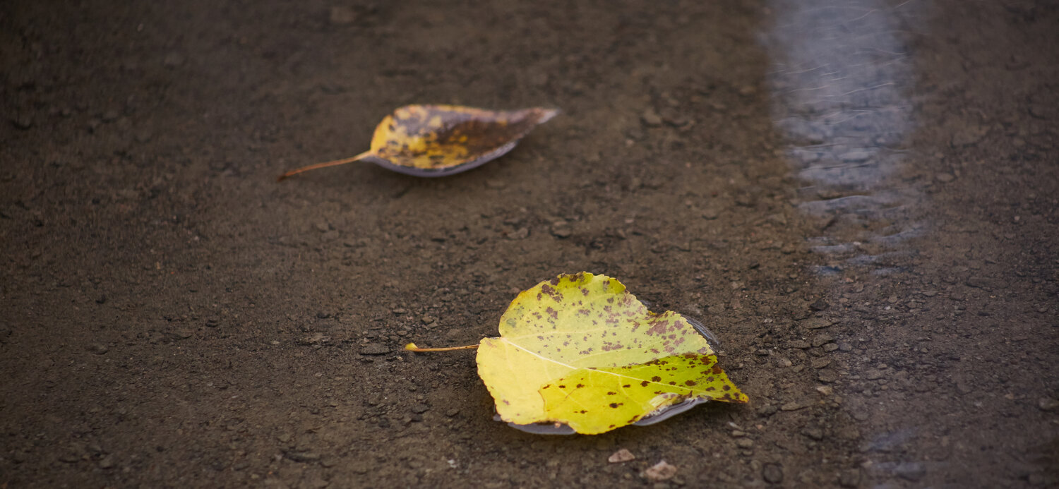 Photo #14129439