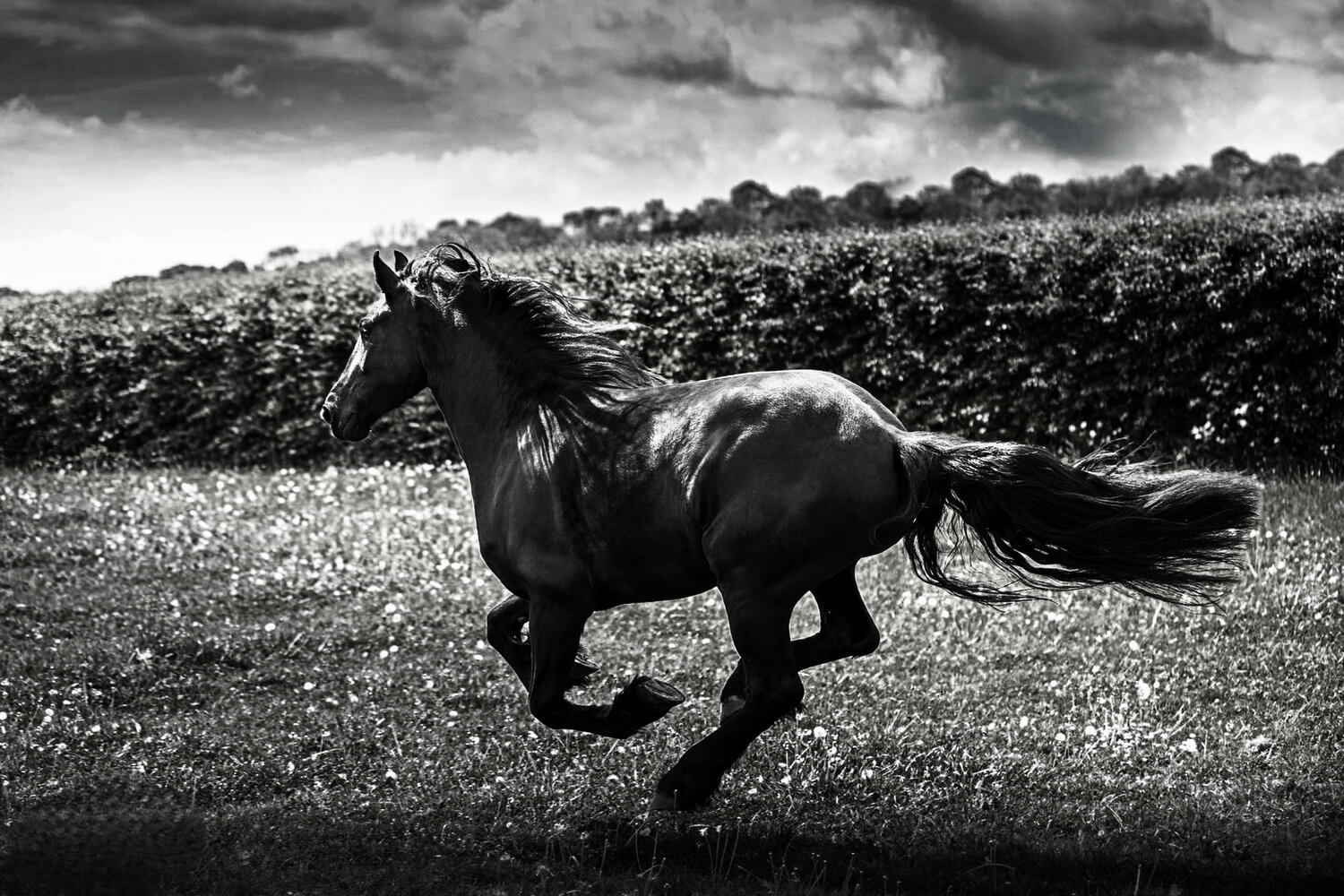 Photo #14129556