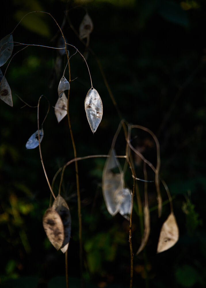 Photograph by Елена Третьякова
