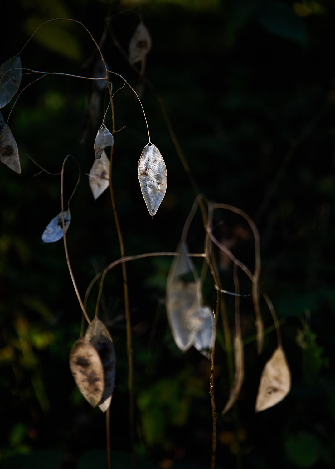 Photo #14129560