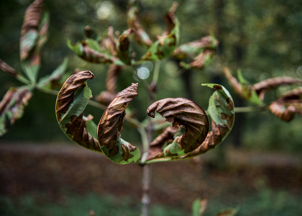 Photograph by Елена Третьякова