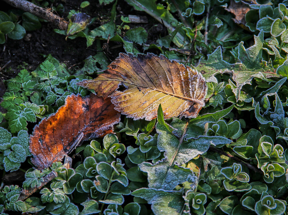 Photograph by Елена Третьякова