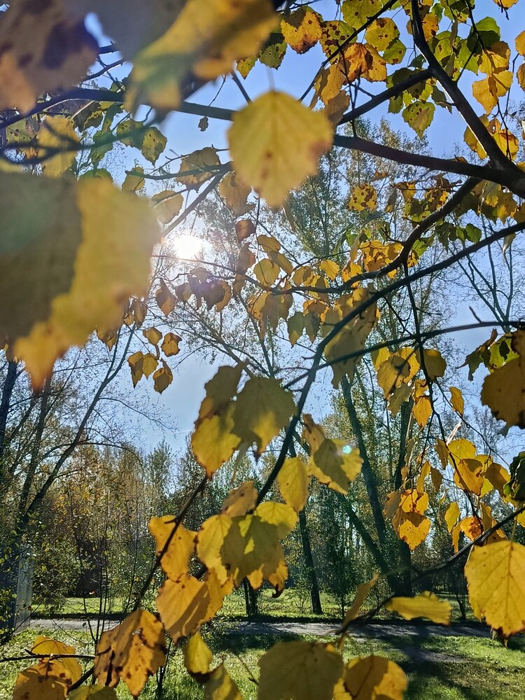 Photograph by Наталья Петухова
