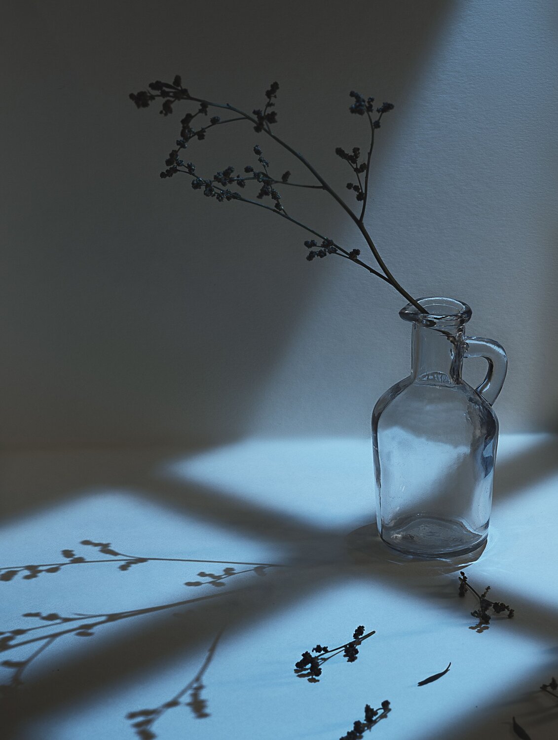 Photo #14129742