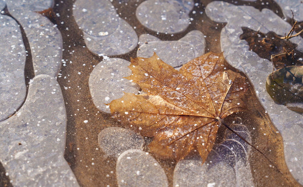 Photograph by Александр Дюльгер
