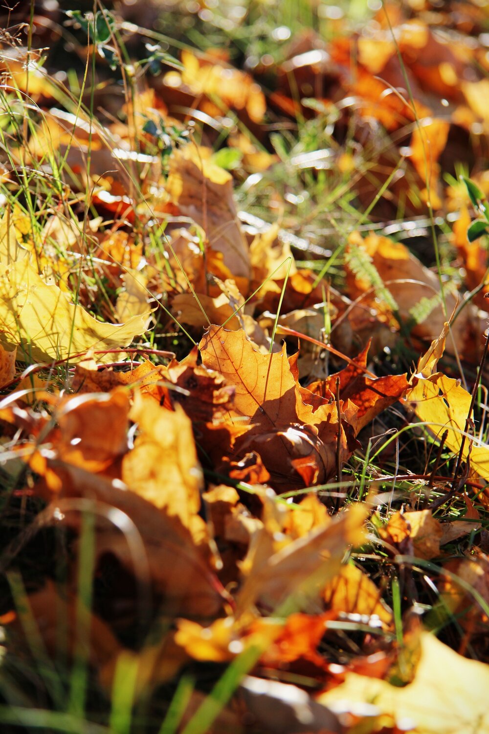 Photo #14129890
