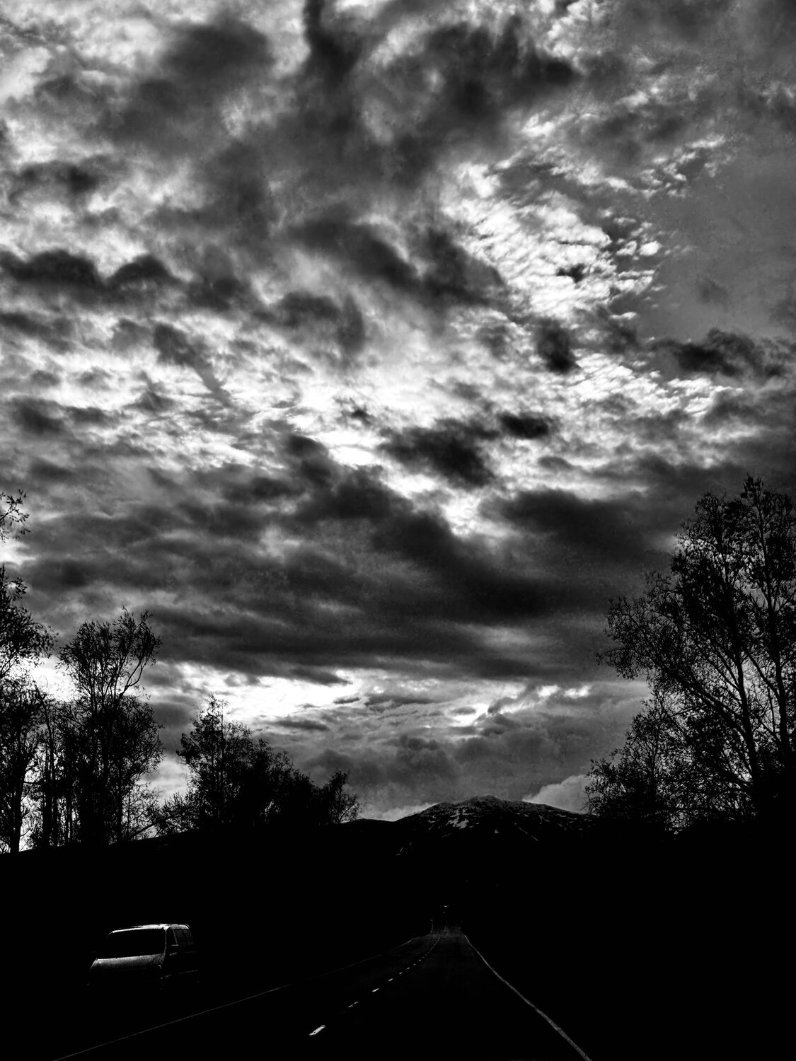 Photo #14130216