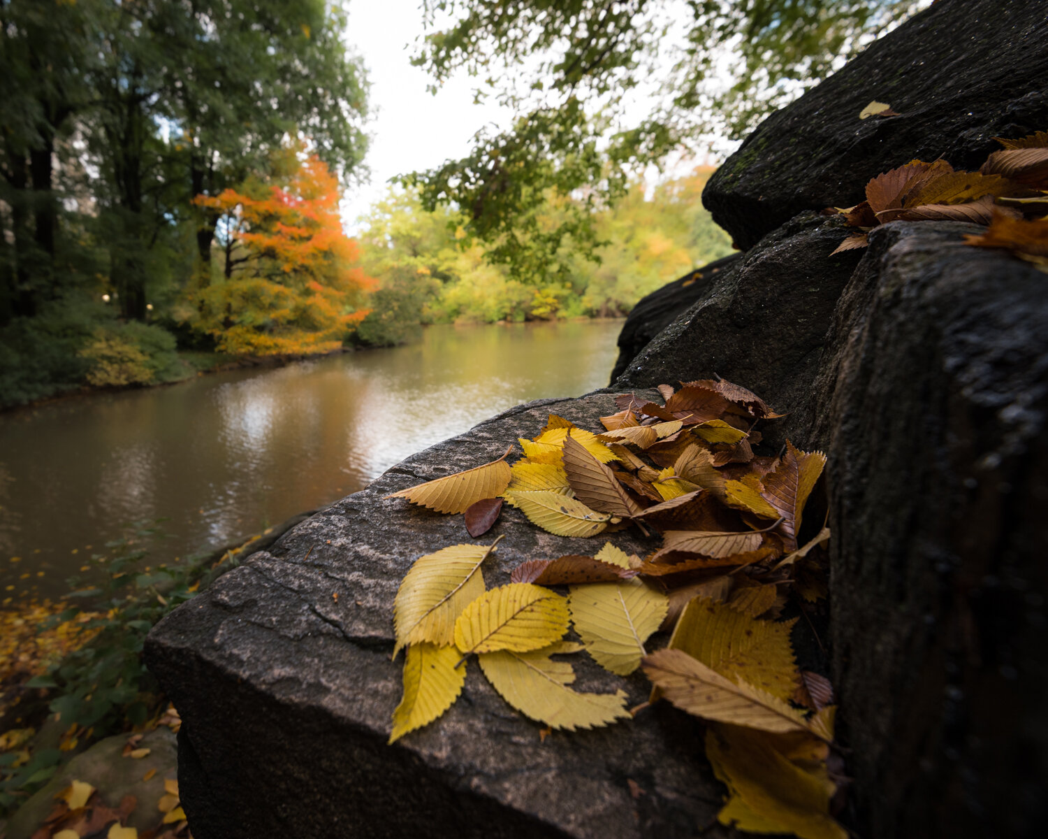 Photo #14130234