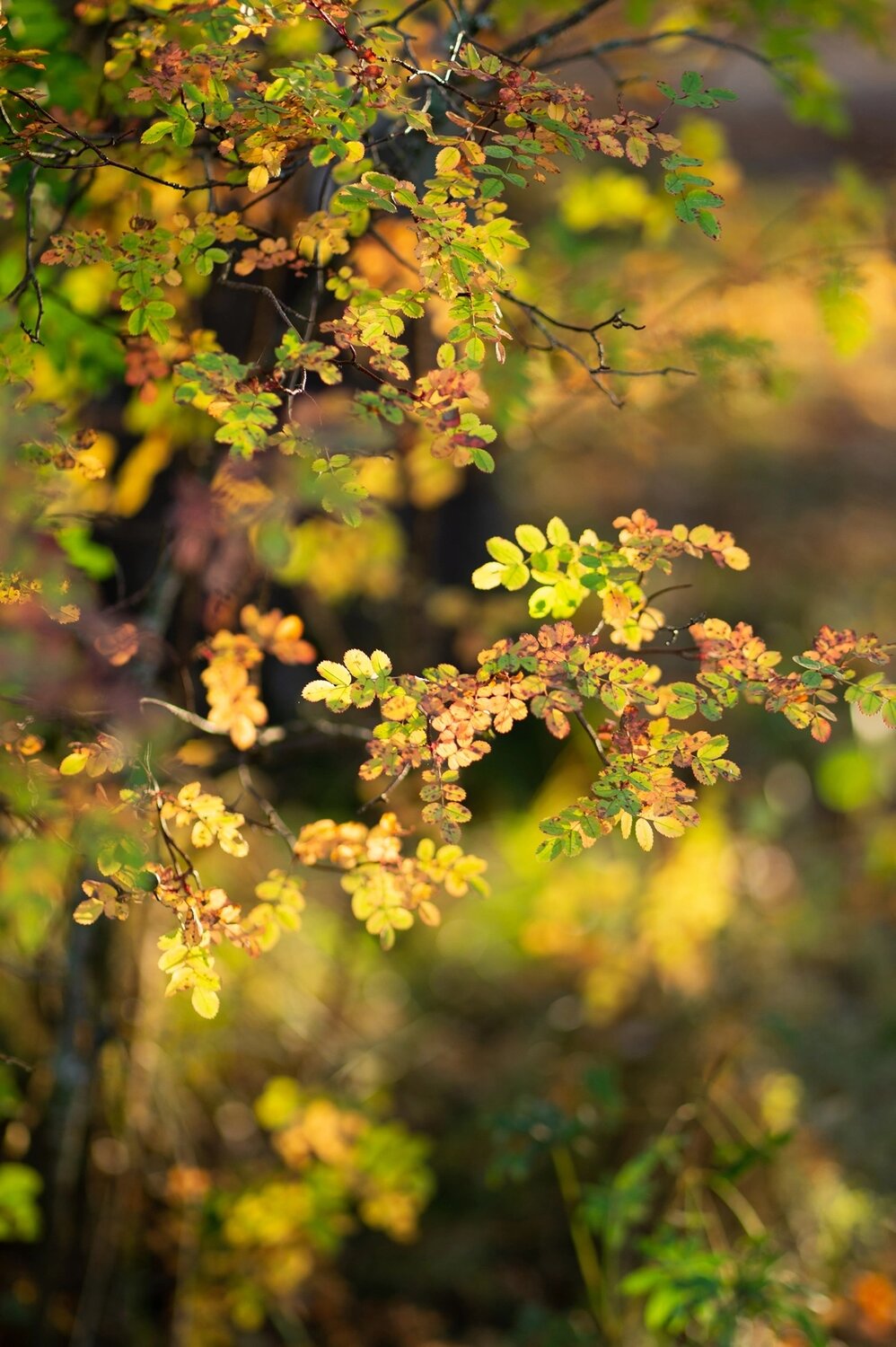 Photo #14130402