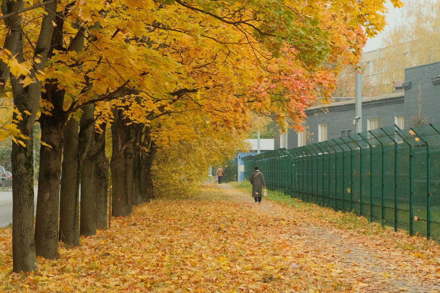 Осеняя аллея