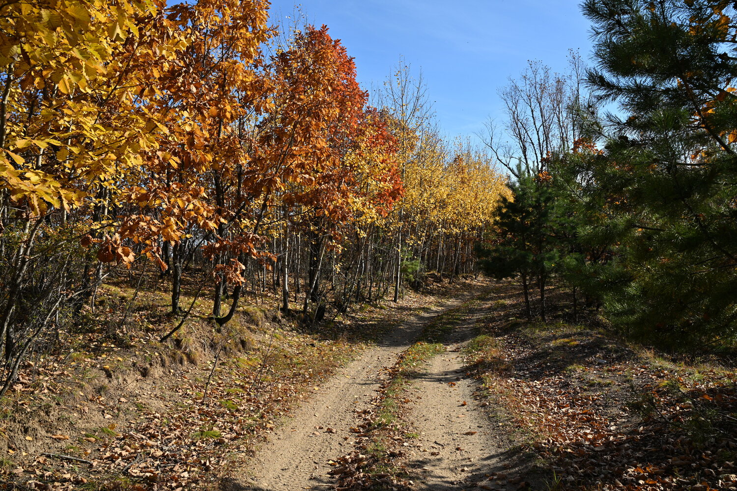 Photo #14130685