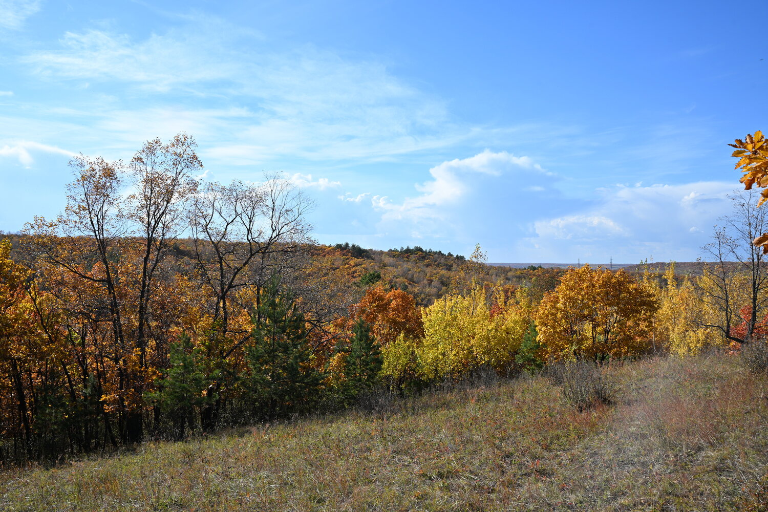 Photo #14130696