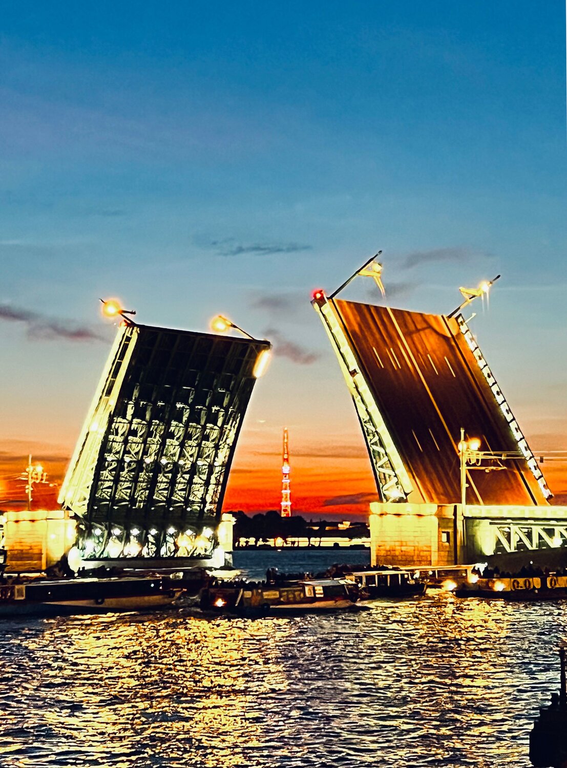 В створе Невы / In the Spans of the Neva