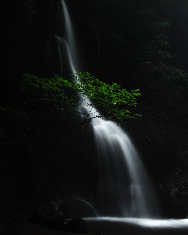 Veil of Silence