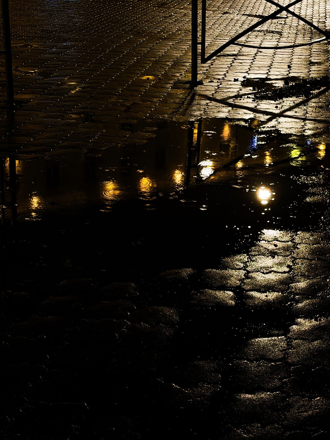 Photo #14130876