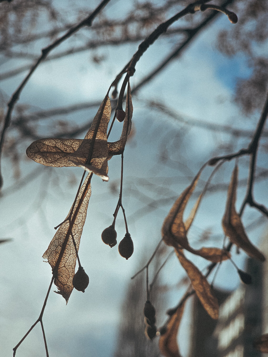 Photo #14130877