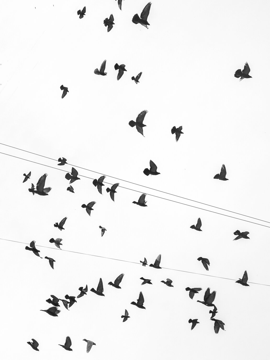 Photo #14130907
