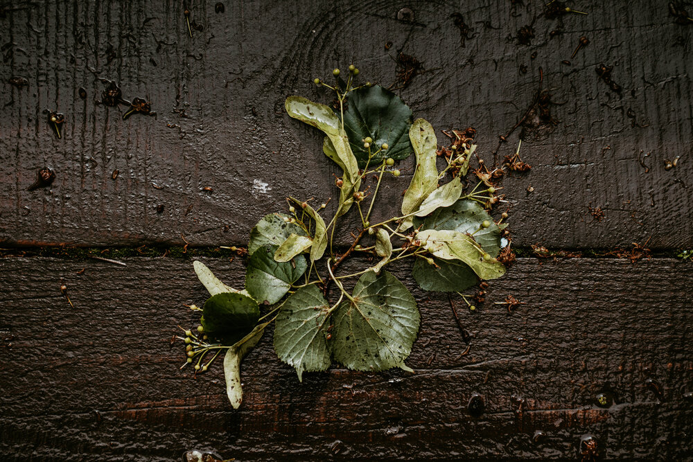 Photograph by Натали Захарова (Тай)