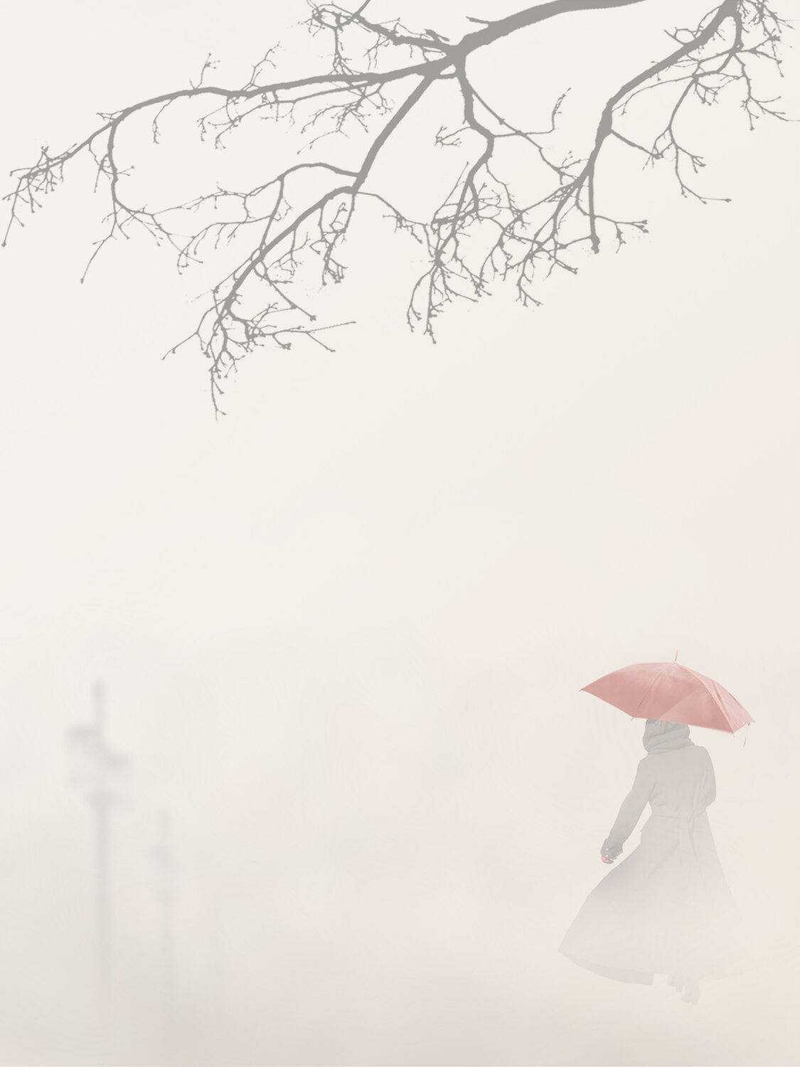 Photo #14131006