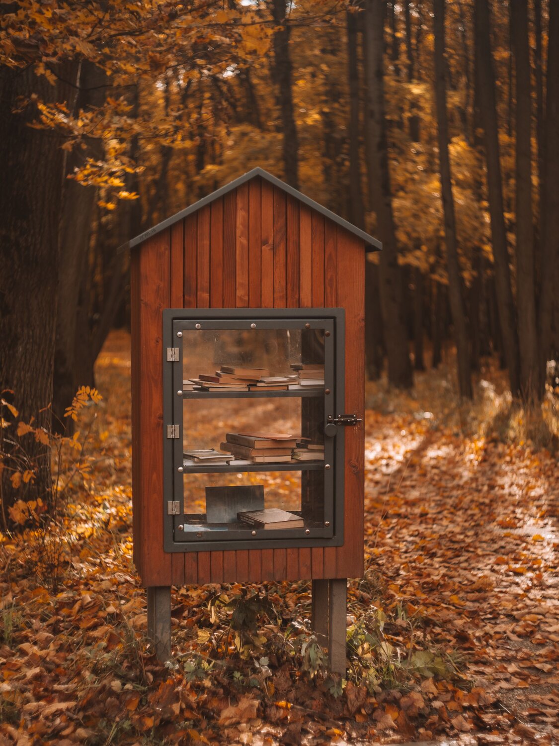 Photo #14131066