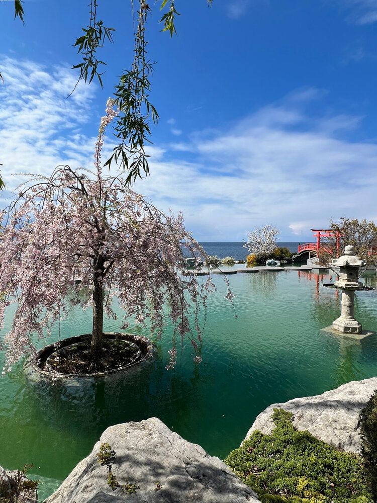Восточная философия весны / Eastern Philosophy of Spring